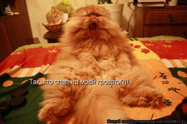 Котоматрица: Так, кто спал на моей кровати?!!