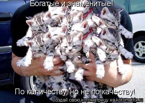 Котоматрица: Богатые и знаменитые! По каличеству, но не по качеству!
