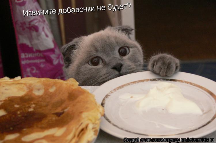 Извините,добавочки не будет?... Котоматрица: Извините,добавочки не будет?