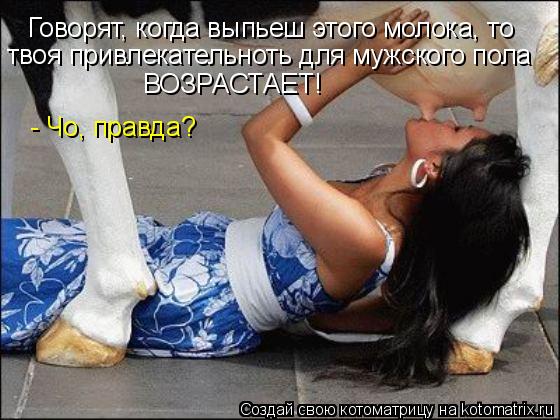Котоматрица: Говорят, когда выпьеш этого молока, то твоя привлекательноть для мужского пола ВОЗРАСТАЕТ! - Чо, правда?