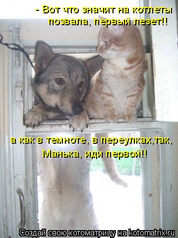 Котоматрица: - Вот что значит на котлеты  позвала, первый лезет!!  а как в темноте, в переулках,так,  Манька, иди первой!!
