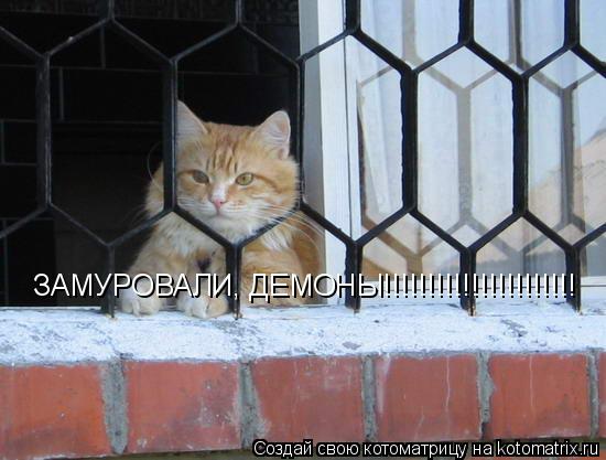 ЗАМУРОВАЛИ, ДЕМОНЫ!!!!!!!!!!!!!!!!!!!!!!... Котоматрица: ЗАМУРОВАЛИ, ДЕМОНЫ!!!!!!!!!!!!!!!!!!!!!!