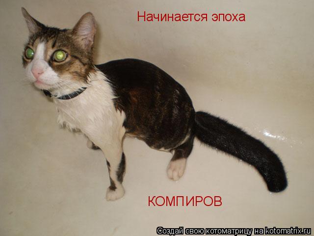Начинается эпоха КОМПИРОВ... Котоматрица: Начинается эпоха КОМПИРОВ