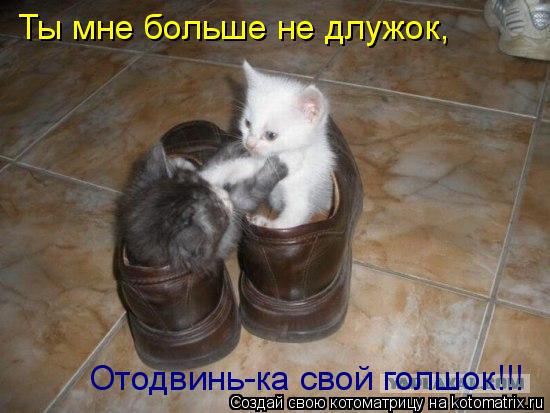 Ты мне больше не длужок, Отодвинь-ка свой голшок!!!... Котоматрица: Ты мне больше не длужок, Отодвинь-ка свой голшок!!!