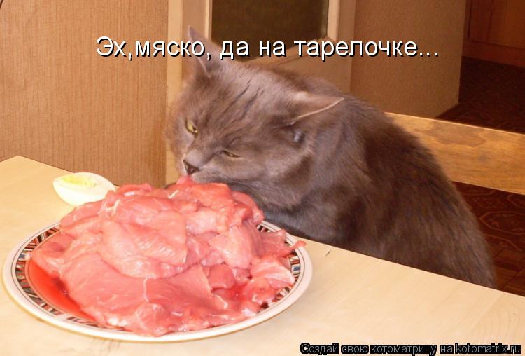 Котоматрица: Эх,мяско, да на тарелочке...