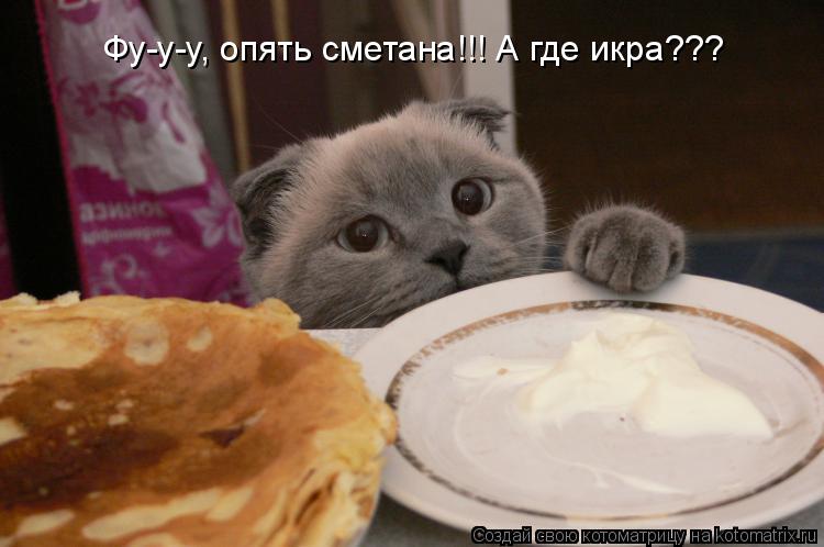 Котоматрица: Фу-у-у, опять сметана!!! А где икра???