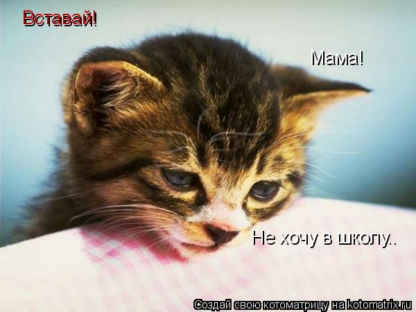 Котоматрица: Мама!  Не хочу в школу.. Вставай! Вставай!