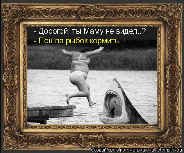 Котоматрица: - Дорогой, ты Маму не видел..? - Пошла рыбок кормить..!