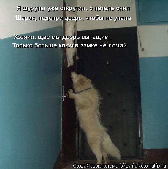 Котоматрица: Я шурупы уже открутил, с петель снял  Шарик, подопри дверь, чтобы не упала Хозяин, щас мы дворь вытащим.  Только больше ключ в замке не ломай