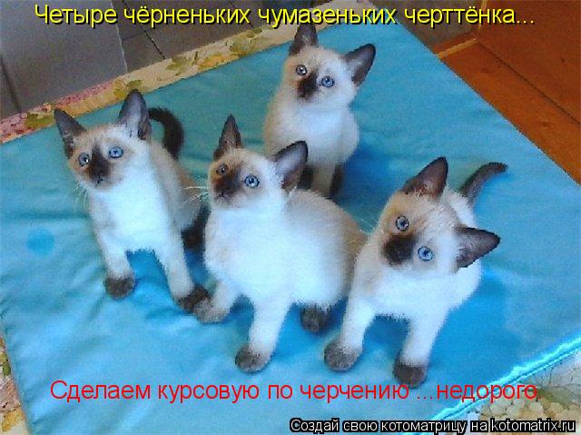 Котоматрица: Четыре чёрненьких чумазеньких черттёнка... Сделаем курсовую по черчению ...недорого.