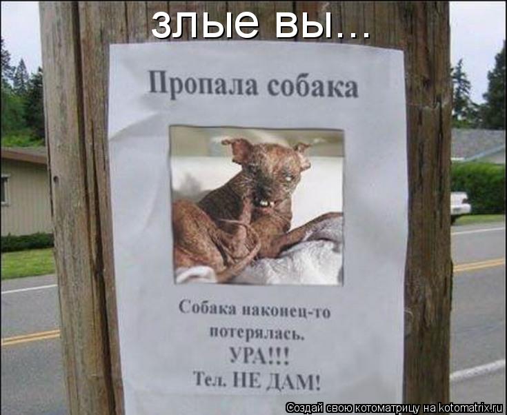 злые вы...... Котоматрица: злые вы...