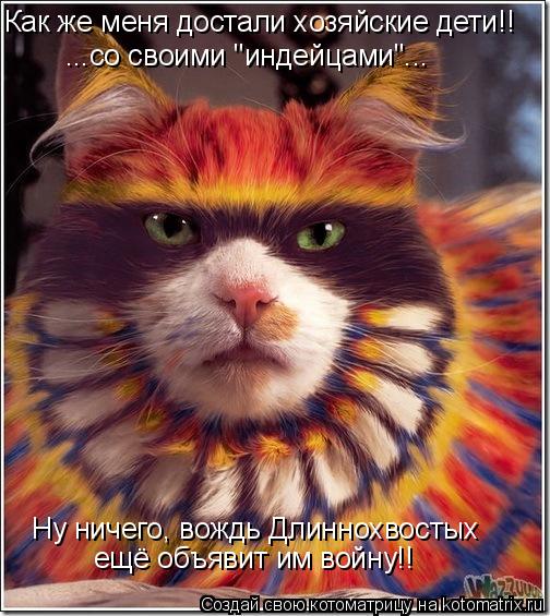 Котоматрица: Как же меня достали хозяйские дети!! ...со своими "индейцами"... Ну ничего, вождь Длиннохвостых ещё объявит им войну!!