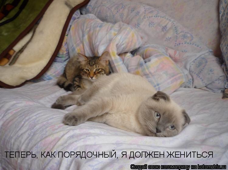 Котоматрица: ТЕПЕРЬ, КАК ПОРЯДОЧНЫЙ, Я ДОЛЖЕН ЖЕНИТЬСЯ