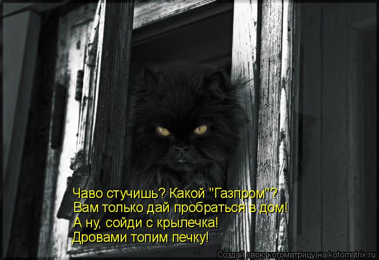 Чаво стучишь? Какой "Газпром"? Вам только дай пробраться в дом! А ну, сойди с крылечка! Дровами топим... Котоматрица: Чаво стучишь? Какой "Газпром"? Вам только дай пробраться в дом! А ну, сойди с крылечка! Дровами топим печку!