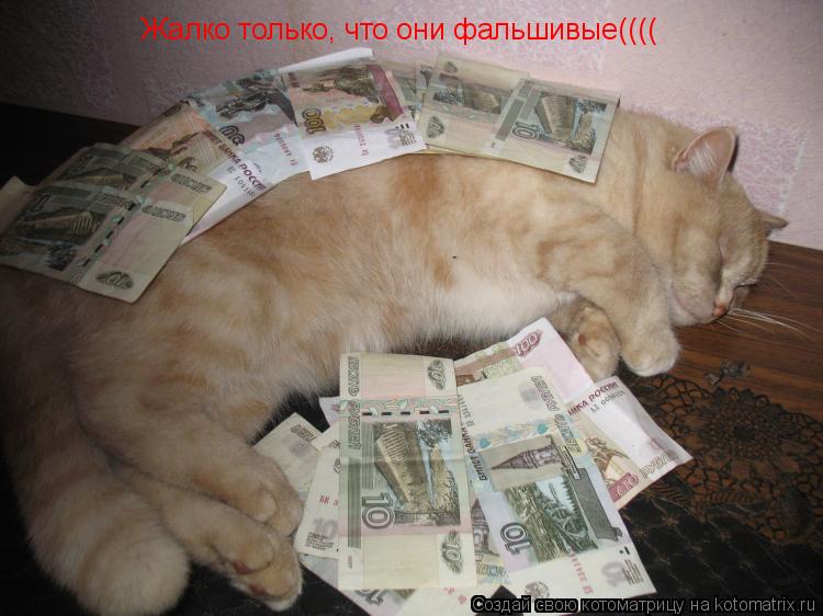 Котоматрица: Жалко только, что они фальшивые((((