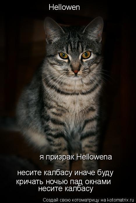 Котоматрица: Hellowen я призрак Hellowena несите калбасу иначе буду кричать ночью пад окнами несите калбасу