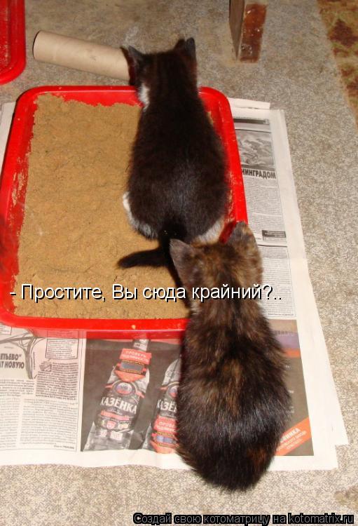 Котоматрица: - Простите, Вы сюда крайний?..
