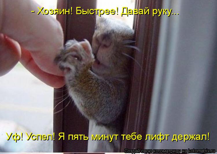 - Хозяин! Быстрее! Давай руку... Уф! Успел! Я пять минут тебе лифт держал!... Котоматрица: - Хозяин! Быстрее! Давай руку... Уф! Успел! Я пять минут тебе лифт держал!