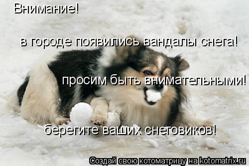 Котоматрица: Внимание!  в городе появились вандалы снега!  просим быть внимательными! берегите ваших снеговиков!