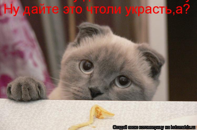 Котоматрица: Ну дайте это чтоли украсть,а? Ну дайте это чтоли украсть,а?