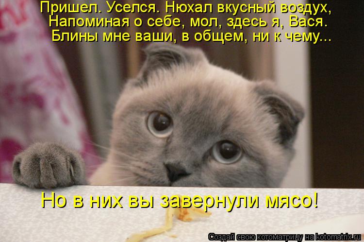 Пришел. Уселся. Нюхал вкусный воздух, Напоминая о себе, мол, здесь я, Вася. Блины мне ваши, в общем, ... Котоматрица: Пришел. Уселся. Нюхал вкусный воздух, Напоминая о себе, мол, здесь я, Вася. Блины мне ваши, в общем, ни к чему... Но в них вы завернули мясо!