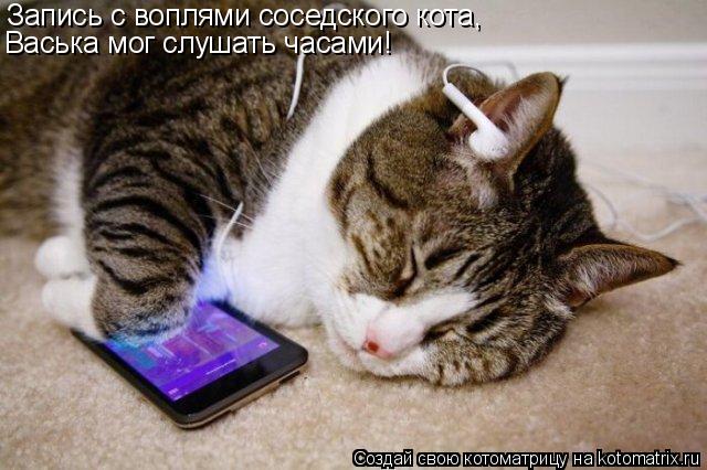 Котоматрица: Запись с воплями соседского кота, Васька мог слушать часами!