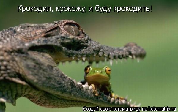 Котоматрица: Крокодил, крокожу, и буду крокодить!