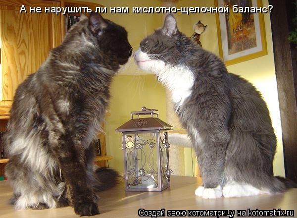 А не нарушить ли нам кислотно-щелочной баланс?... Котоматрица: А не нарушить ли нам кислотно-щелочной баланс?