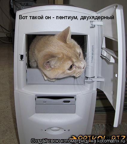 Котоматрица: Вот такой он - пентиум, двухядерный