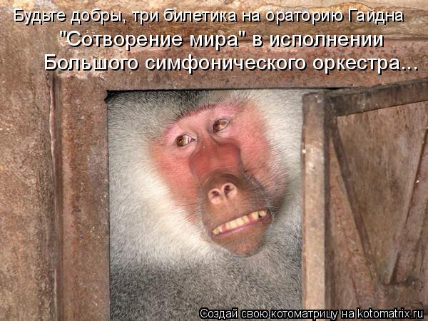 Будьте добры, три билетика на ораторию Гайдна "Сотворение мира" в исполнении Большого симфонического ... Котоматрица: Будьте добры, три билетика на ораторию Гайдна "Сотворение мира" в исполнении Большого симфонического оркестра...