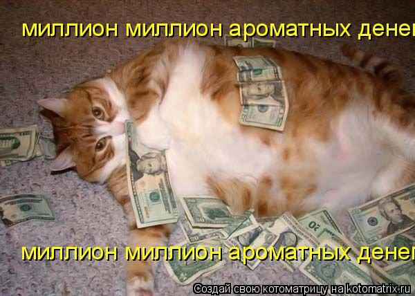 Котоматрица: миллион миллион ароматных денег миллион миллион ароматных денег