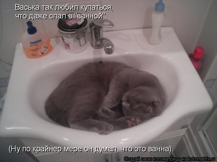 Котоматрица: Васька так любил купаться, что даже спал в "ванной". (Ну по крайнер мере он думал, что это ванна).