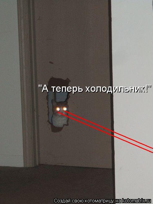 ______________________ _________________________ "А теперь холодильник!"... Котоматрица: ______________________ _________________________ "А теперь холодильник!"