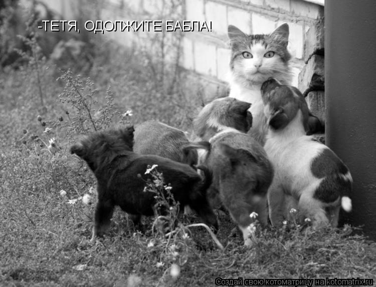 Котоматрица: -ТЕТЯ, ОДОЛЖИТЕ БАБЛА!