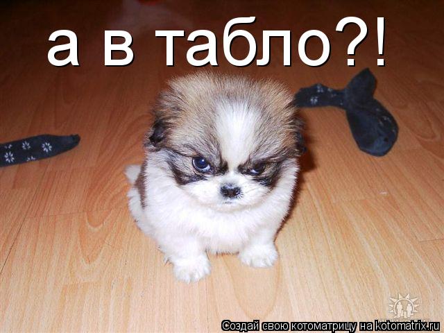 Котоматрица: а в табло?!