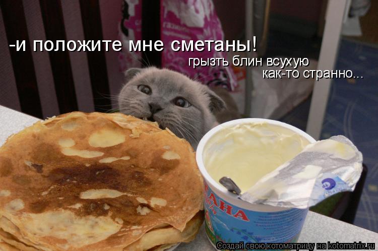 Котоматрица: -и положите мне сметаны! грызть блин всухую грызть блин всухую как-то странно...