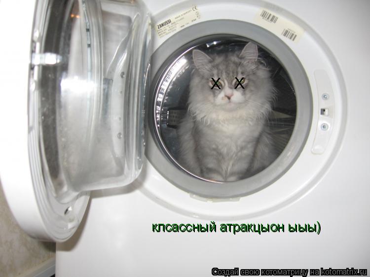 клсассный атракцыон ыыы) Х Х... Котоматрица: клсассный атракцыон ыыы) Х Х