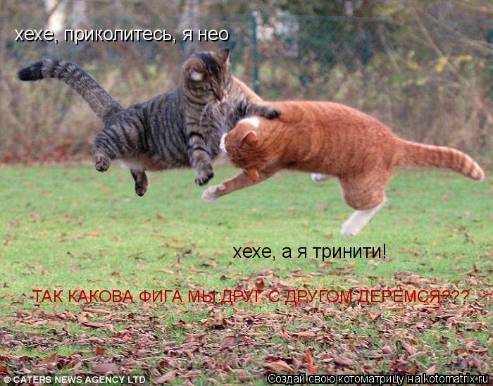 хехе, приколитесь, я нео хехе, а я тринити! ТАК КАКОВА ФИГА МЫ ДРУГ С ДРУГОМ ДЕРЕМСЯ???... Котоматрица: хехе, приколитесь, я нео хехе, а я тринити! ТАК КАКОВА ФИГА МЫ ДРУГ С ДРУГОМ ДЕРЕМСЯ???