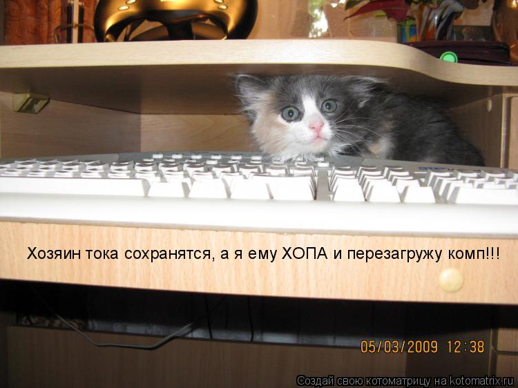 Хозяин тока сохранятся, а я ему ХОПА и перезагружу комп!!!... Котоматрица: Хозяин тока сохранятся, а я ему ХОПА и перезагружу комп!!!