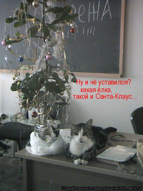 Ну и чё уставился? какая ёлка, такой и Санта-Клаус...... Котоматрица: Ну и чё уставился? какая ёлка, такой и Санта-Клаус...
