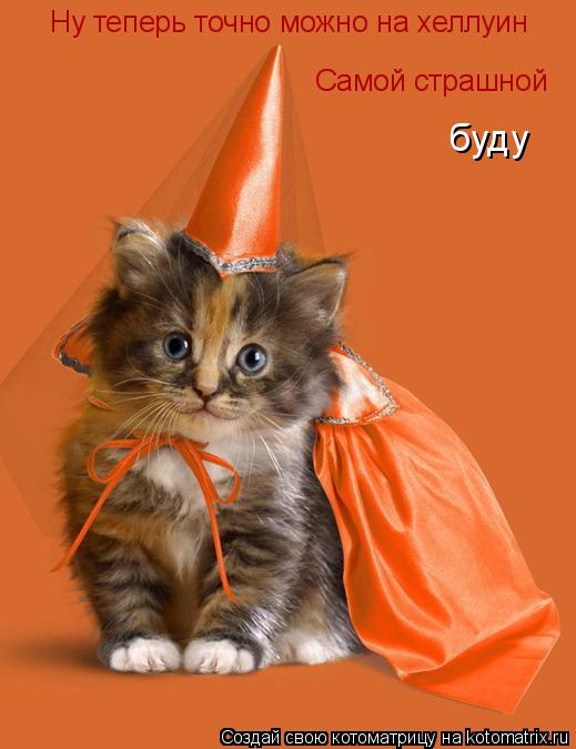 Котоматрица: Ну теперь точно можно на хеллуин Самой страшной буду