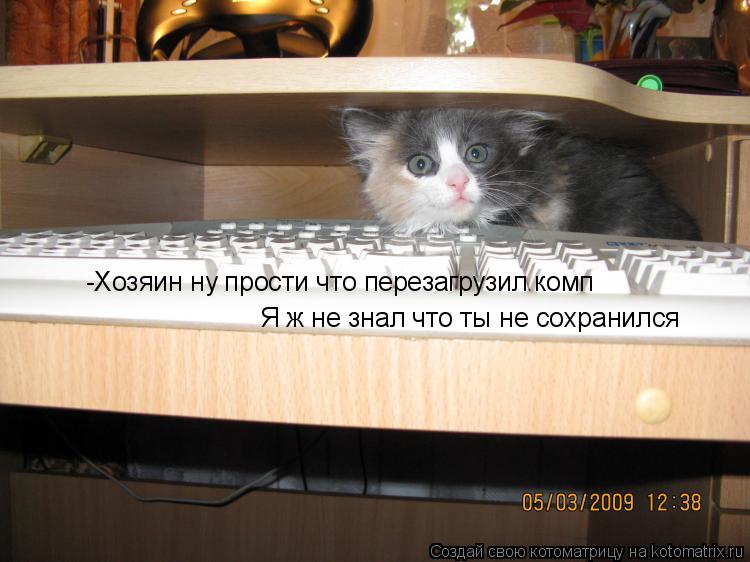 Котоматрица: -Хозяин ну прости что перезагрузил комп  Я ж не знал что ты не сохранился