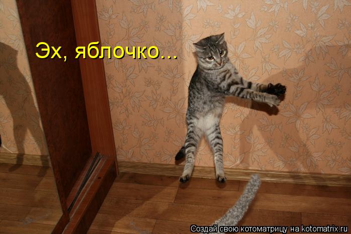 Котоматрица: Эх, яблочко...
