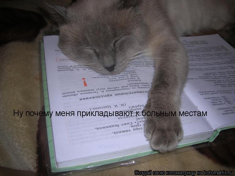 Котоматрица: Ну почему меня прикладывают к больным местам