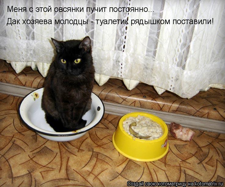 Котоматрица: Меня с этой овсянки пучит постоянно... Дак хозяева молодцы - туалетик рядышком поставили!