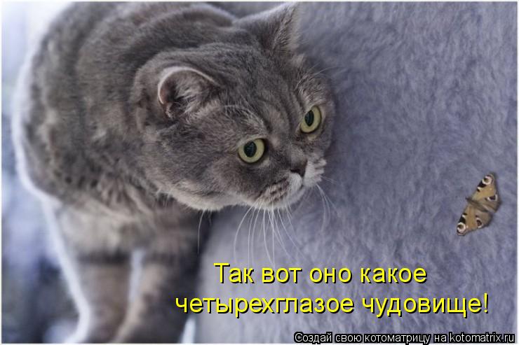 Котоматрица: Так вот оно какое  четырехглазое чудовище!