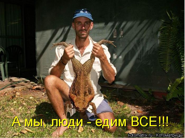 Котоматрица: А мы, люди - едим ВСЕ!!!