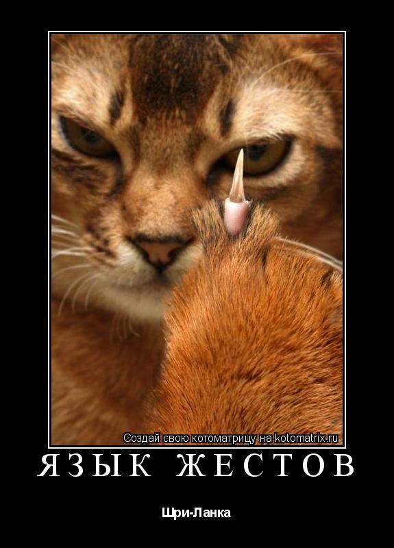 Котоматрица: Язык жестов Шри-Ланка