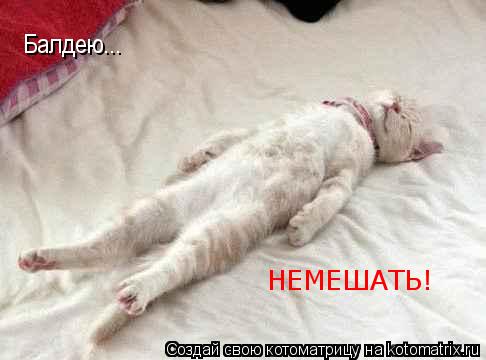 Балдею... НЕМЕШАТЬ!... Котоматрица: Балдею... НЕМЕШАТЬ!