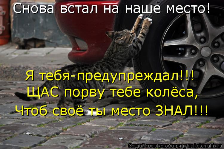 Котоматрица: Снова встал на наше место! Я тебя-предупреждал!!! ЩАС порву тебе колёса, Чтоб своё ты место ЗНАЛ!!!